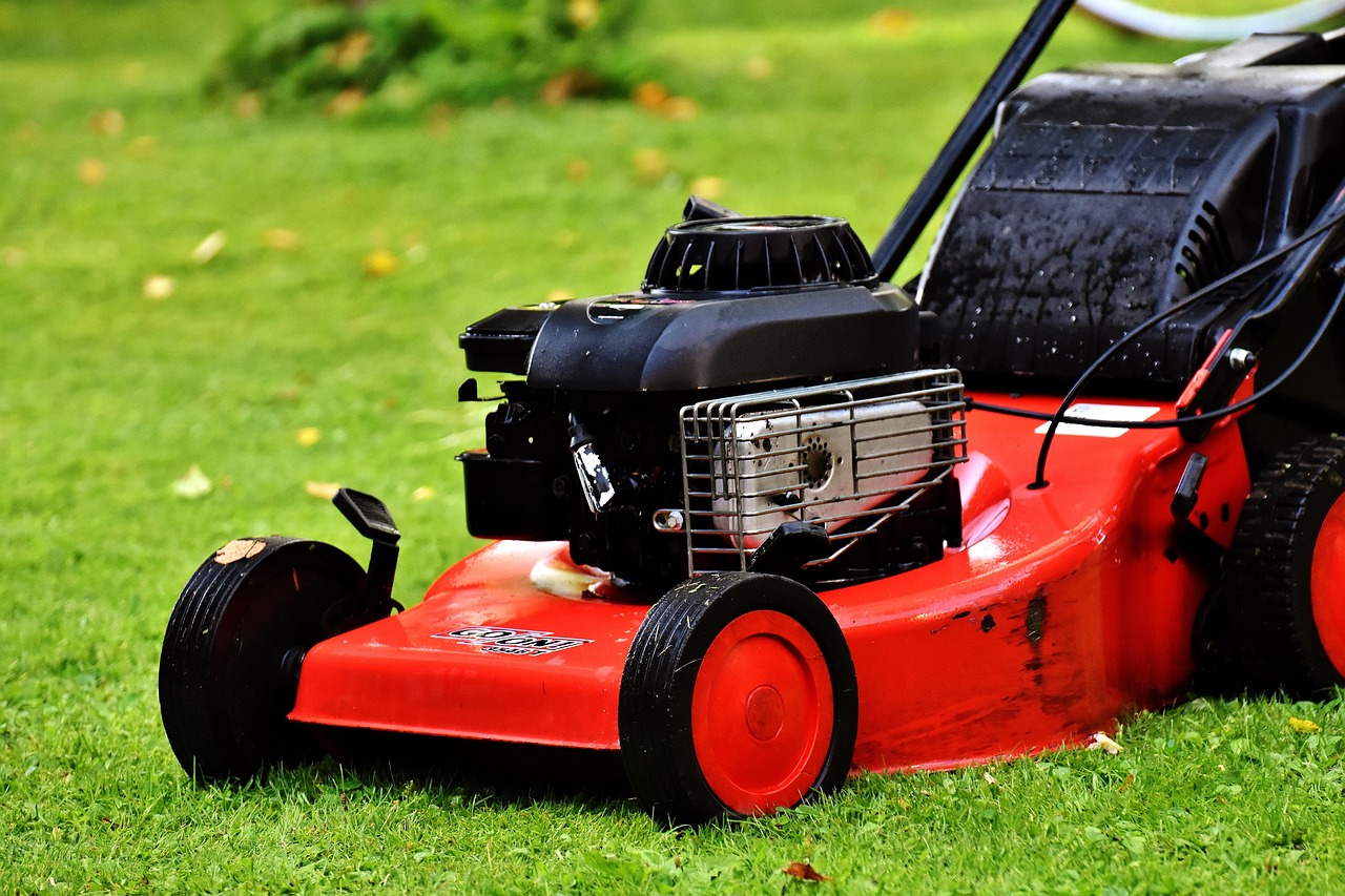 lawn mower, gardening, mow, cut grass, grassy area, garden, nature, cut the lawn, technology, to cut, lawn, green, basket, meadow
